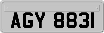 AGY8831