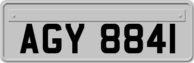 AGY8841