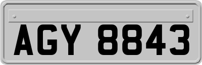 AGY8843
