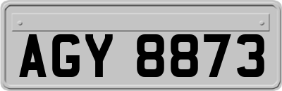 AGY8873