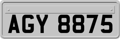 AGY8875