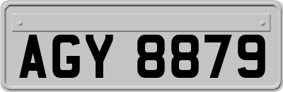 AGY8879