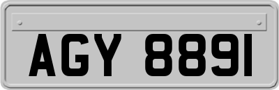 AGY8891