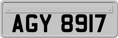 AGY8917