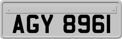 AGY8961