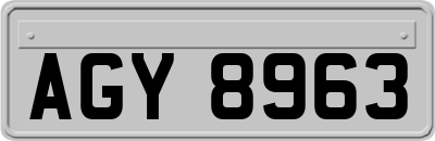 AGY8963