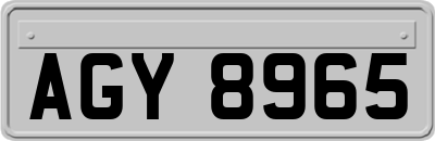 AGY8965