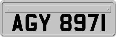 AGY8971