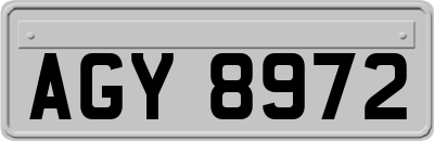 AGY8972