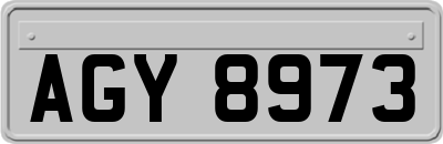 AGY8973