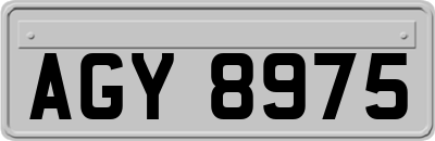 AGY8975