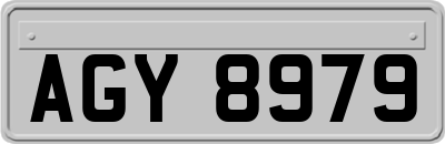 AGY8979