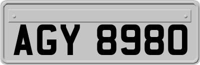 AGY8980