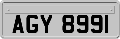 AGY8991