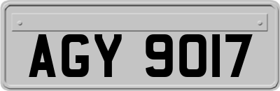 AGY9017