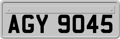 AGY9045