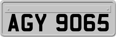 AGY9065