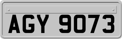 AGY9073
