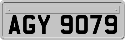 AGY9079