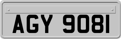 AGY9081