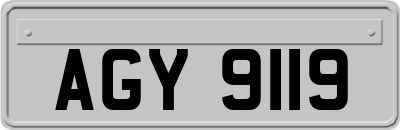 AGY9119