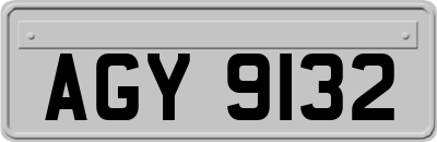 AGY9132