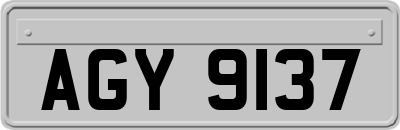 AGY9137