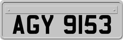 AGY9153