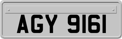 AGY9161