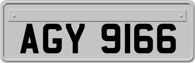 AGY9166