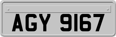 AGY9167