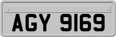 AGY9169