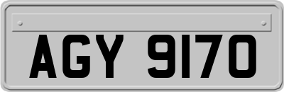 AGY9170