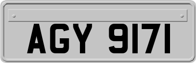 AGY9171