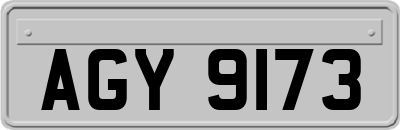 AGY9173
