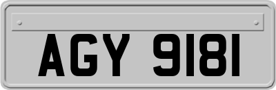 AGY9181