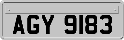 AGY9183