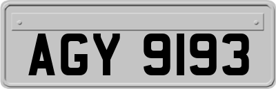 AGY9193