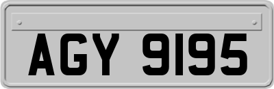 AGY9195