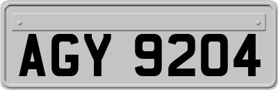 AGY9204