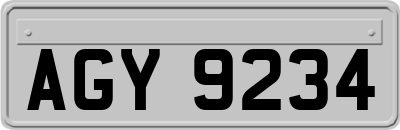 AGY9234