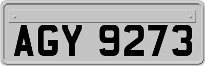 AGY9273