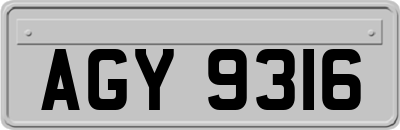 AGY9316