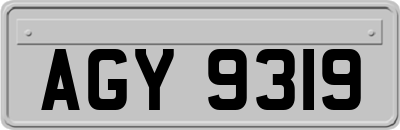 AGY9319
