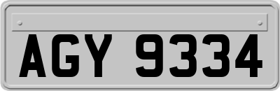 AGY9334