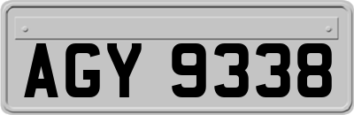 AGY9338