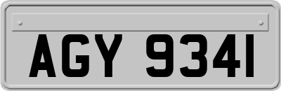 AGY9341