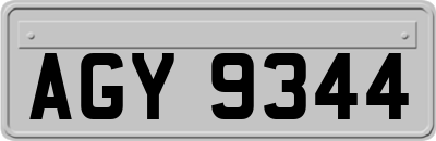 AGY9344