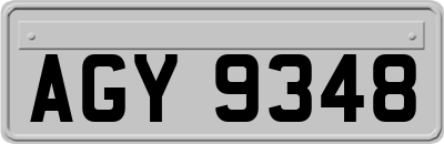AGY9348