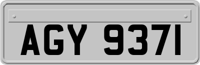 AGY9371